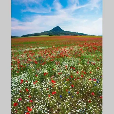 Szerelmes Tunderlak *